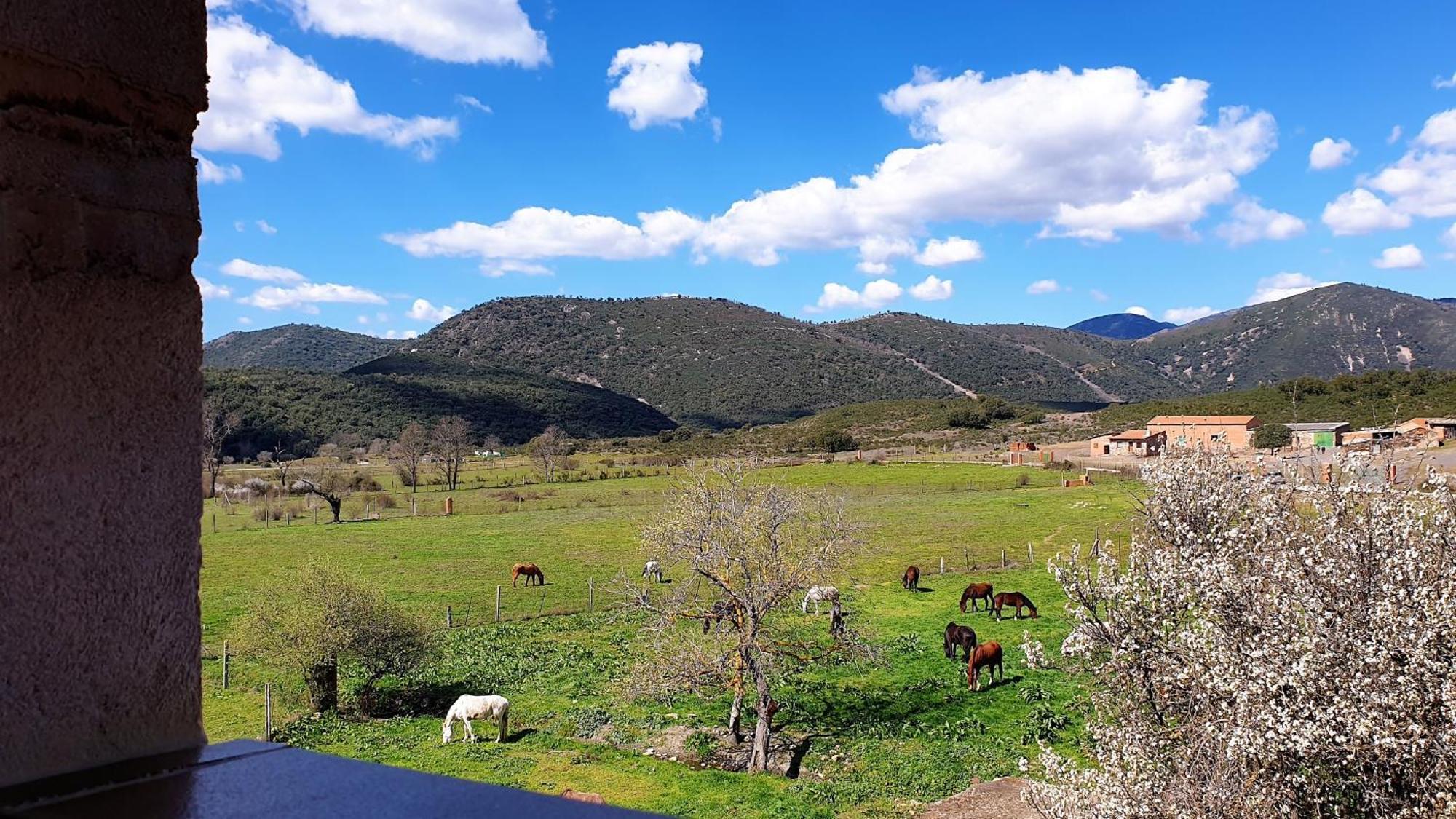 Navas de Estena Casa Con Piscina En Parque Nacional De Cabaneros المظهر الخارجي الصورة